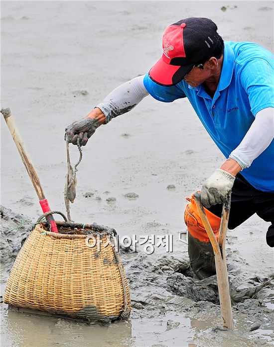 신안군, 제6회 신안 뻘낙지 축제 26일 개최