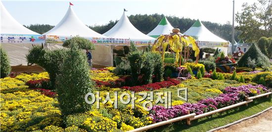 제5회 정남진 장흥 국화페스티벌, 25일부터 개최