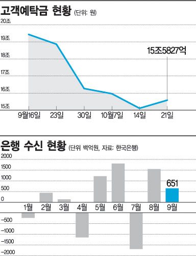 증시 탈출 개미... 언제 돌아오나
