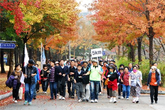 지난해 가을에 열린 ‘대전현충원길 걷기대회’ 행사 모습