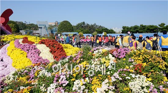 [포토]가족과 함께 함평으로 국화보러오세요