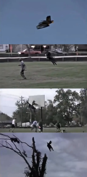 조깅하다 만난 저승사자 "건장한 청년들도 혼비백산" 