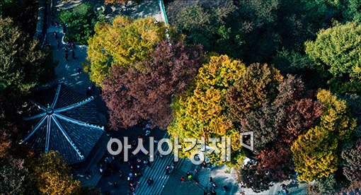 [포토]단풍 드는 도심