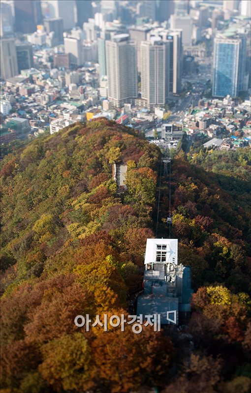 [포토]남산의 단풍