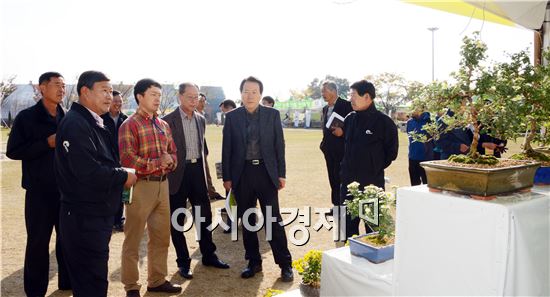 [포토]함평국화축제장 점검하는 간부 공무원들