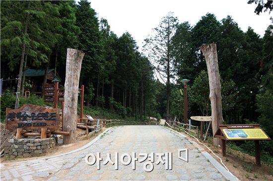 '목혼식 페스티벌’ 정남진 장흥 편백숲에서 개최