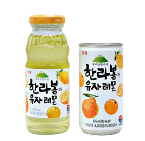 롯데칠성, 온장음료 '한라봉과 유자레몬' 출시
