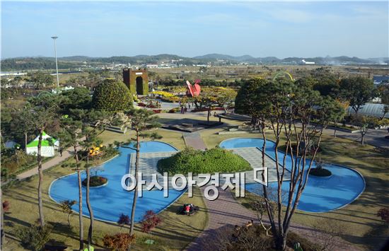 [포토]이국적인 낭만 풍기는 함평국화축제장