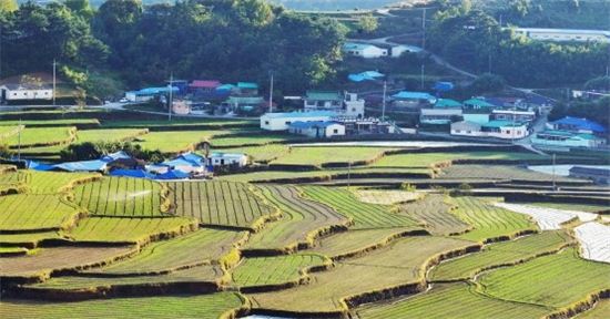 "年 1만2000가구, 도시여 안녕"…귀농의 경제학