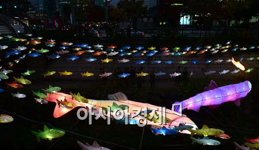 [포토]빙어, 청계천을 날다 