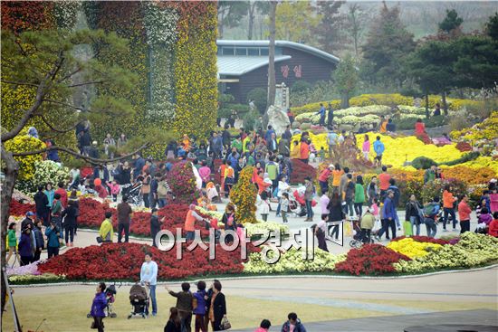 [포토]국화향기 그윽한 함평엑스포공원 관광객 북새통