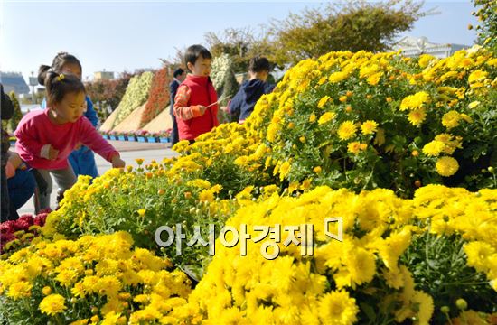 해남군민광장 국화 향 ‘가득’