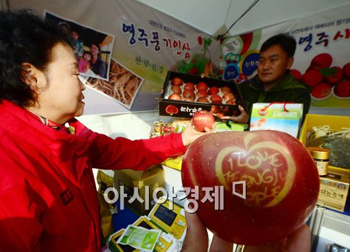 [포토]탐스러운 영주 사과 