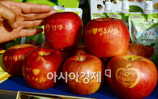 [포토]사과에 글씨가?