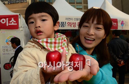 [포토]나처럼 귀여운 미니사과 