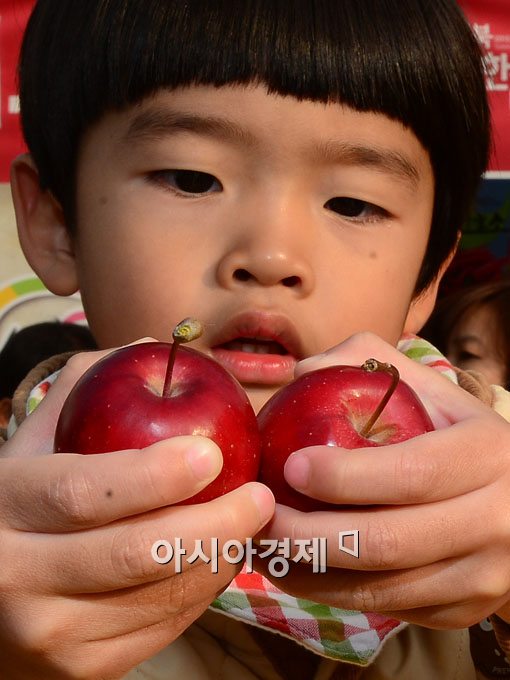 [포토]내 손에 쏙 들어오는 미니 사과 