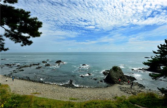 바다가 피웠을까, 파도가 길렀을까 신라가 숨긴 돌꽃