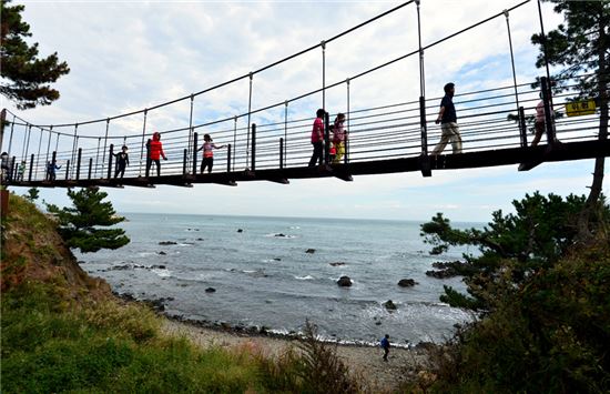 바다가 피웠을까, 파도가 길렀을까 신라가 숨긴 돌꽃