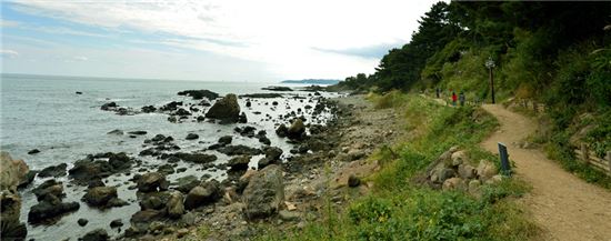 바다가 피웠을까, 파도가 길렀을까 신라가 숨긴 돌꽃