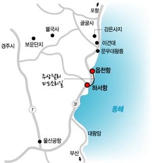 바다가 피웠을까, 파도가 길렀을까 신라가 숨긴 돌꽃