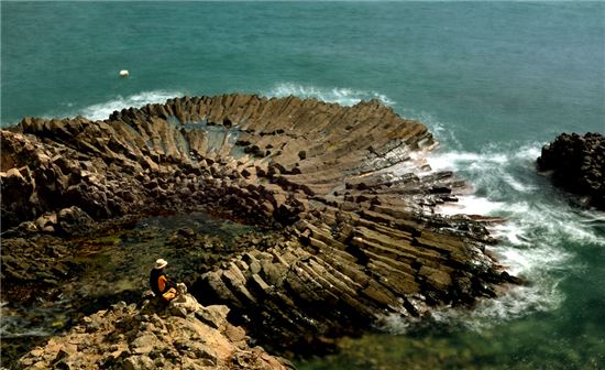 바다가 피웠을까, 파도가 길렀을까 신라가 숨긴 돌꽃