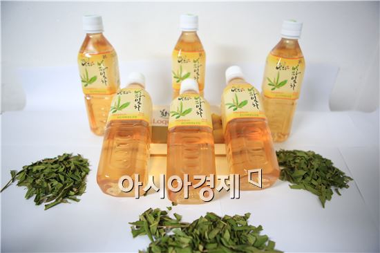 완도군, 비파잎으로 건강음료 개발