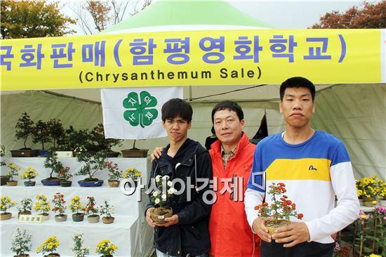 함평영화학교 4H회, 국향대전 국화분재 전시·시판