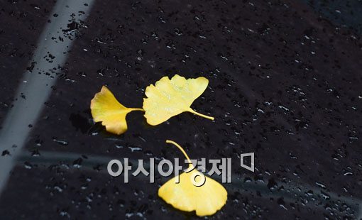 [포토]비와 함께 내리는 중국발 스모그  