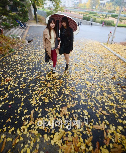 [포토]은행비단 