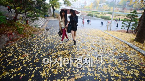 [포토]은행카페트 