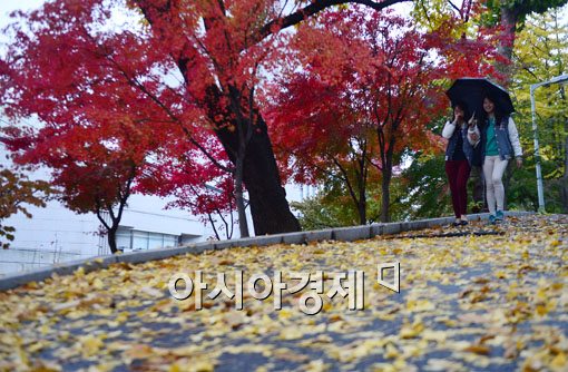 [포토]위는 빨갛고 아래는 노랗고 