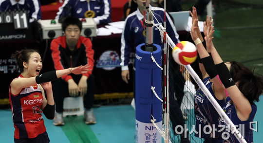 [포토] 백목화 '뚫어라~'