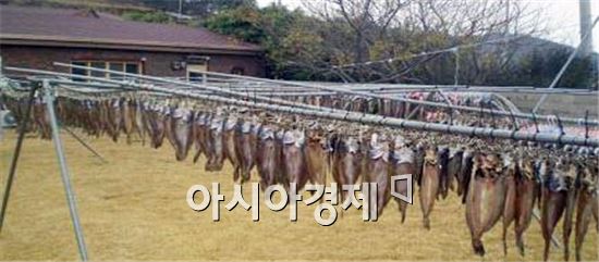 신안 해풍건정, 향토산업육성 사업 선정