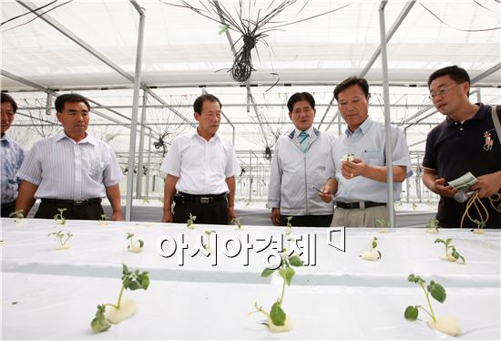 부안군, 씨감자 자체생산 기반구축