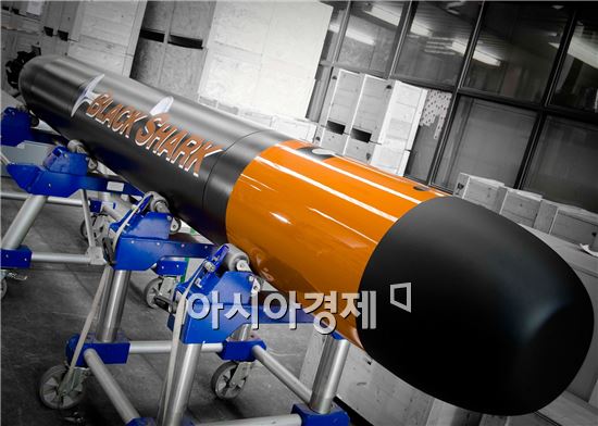 최첨단 해상무기<12>어뢰(Torpedo)