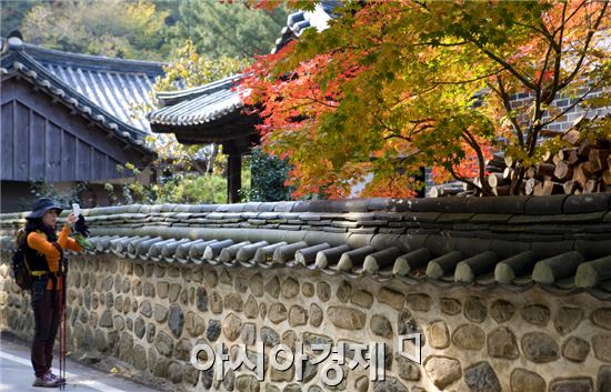 한반도 마지막 단풍 해남 두륜산에서 즐겨요