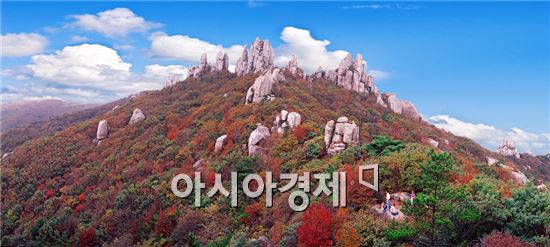 [포토]불타는 천관산 단풍 