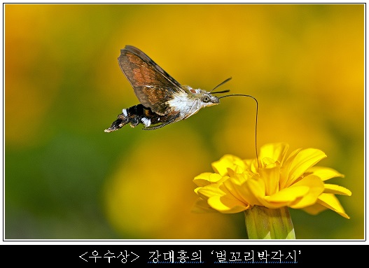 주변이 온통 그림이요, 시(詩)이다…10만 가지 보물