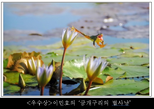 주변이 온통 그림이요, 시(詩)이다…10만 가지 보물