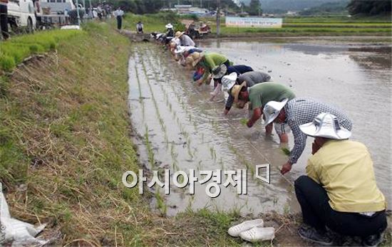 농업인의 날 "가래떡 무료로 나눠 드려요"