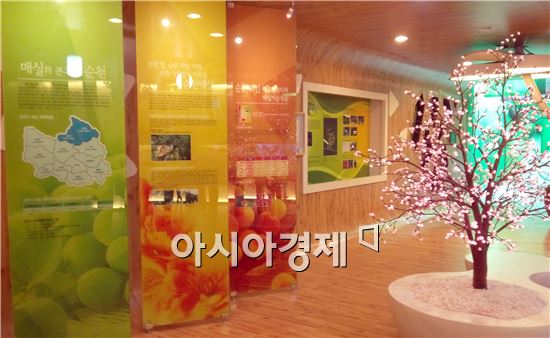 순천시 매실자원 ‘농업생명자원관리기관’ 지정 쾌거