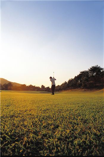  다양한 예약사이트를 활용하면 반값 그린피로도 골프를 칠 수 있다.