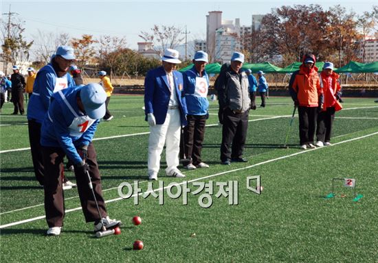 곡성군, 제23회 전라남도 연합회장기 게이트볼 대회 개최