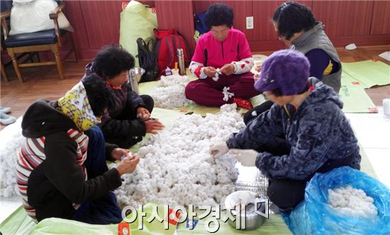 [포토]곡성 겸면 '보송보송'한 목화솜 수확 한창 