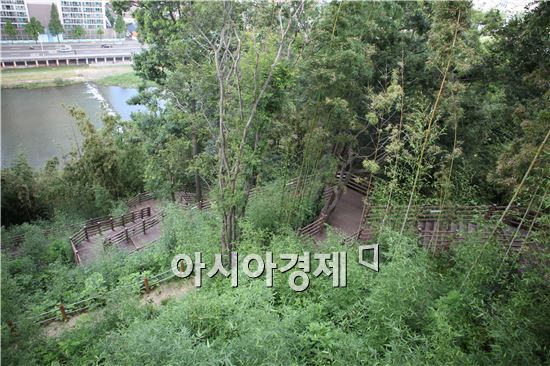청춘데크길