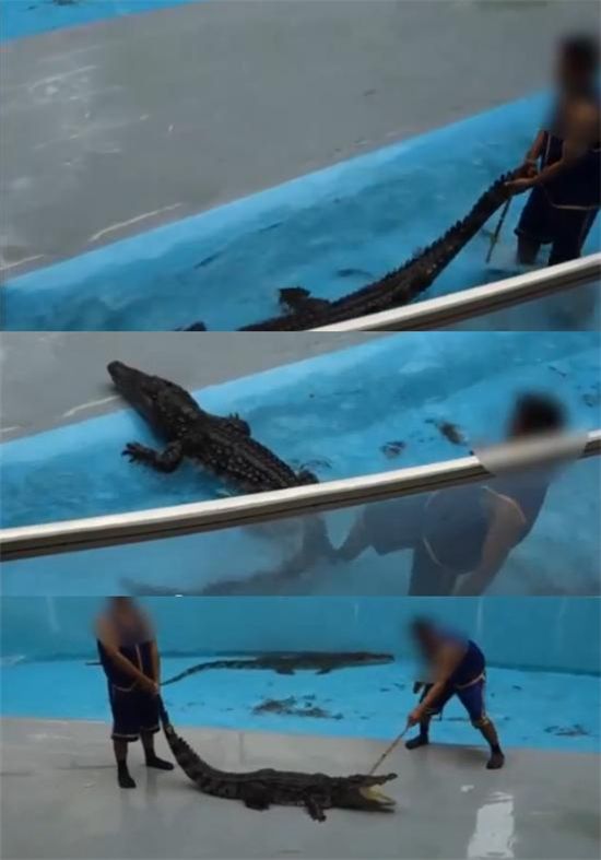 테마동물원 쥬쥬 "그들의 학대는 끝나지 않았다"