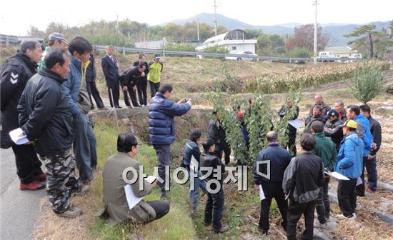 곡성군, ‘2013년 매실 전정사 양성’교육실시 