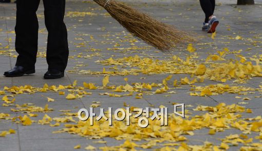 [포토]낙엽 떨어진 도심, 가을을 보낸다