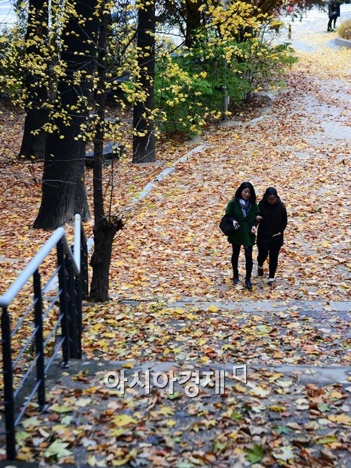 [포토]가을비가 깔아놓은 레드카펫 