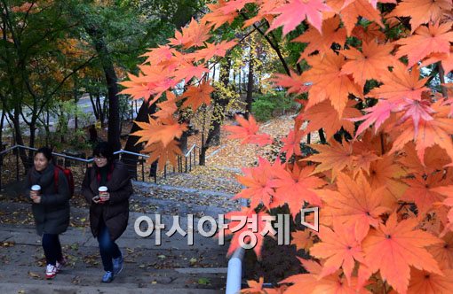 [포토]가을은 이제 안녕 